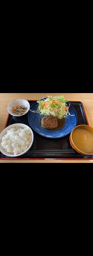 鹿肉ハンバーグ